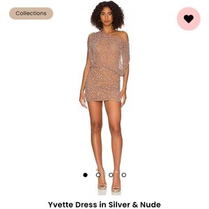 Retrofete x Revolve dress
